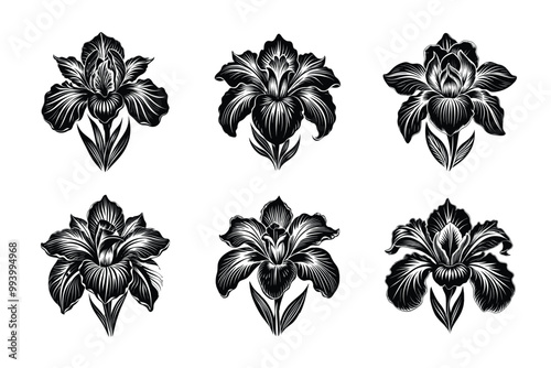 Vector clip art style iris silhouette bundle set with white background