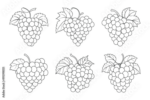 Vector clip art style grape silhouette bundle set with white background