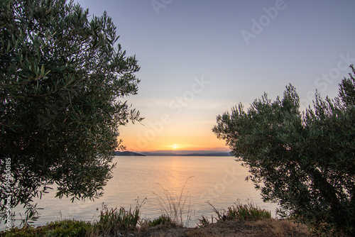 View from a hill with olive trees into the sunset and the sea. Evening mood of a Mediterranean landscape on the beach and coast of Ouranoupoli, Thessaloniki, Central Macedonia, Greece photo