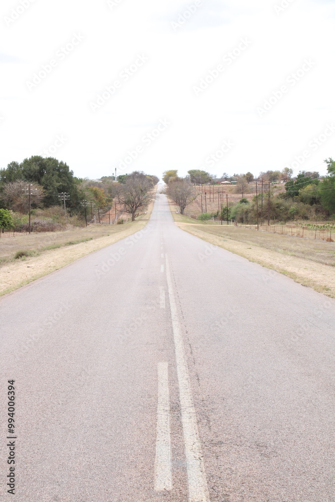 tarred asphalt road with trees alongside