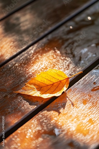 A single yellow leaf rests on a wet wooden surface, illuminated by golden hour light, capturing the essence of autumn. photo