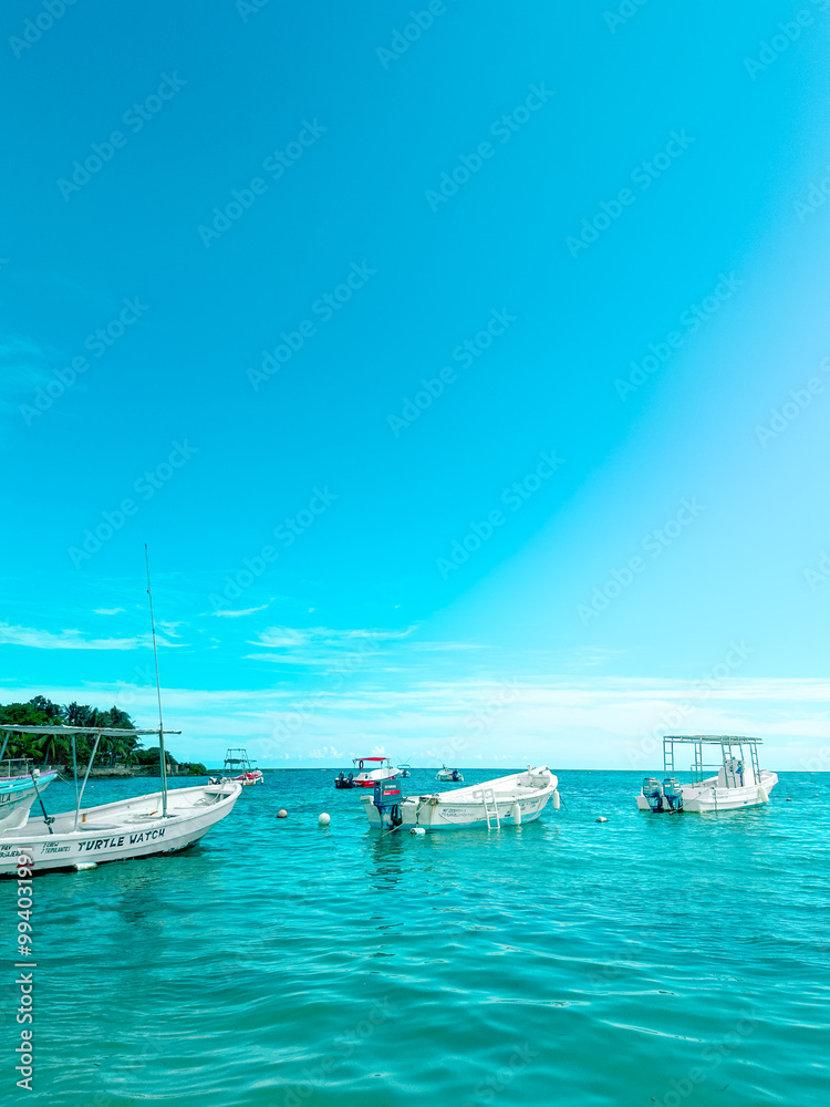 Fototapeta premium fishing boats at the beach of the Caribbean ocean in Mexico 