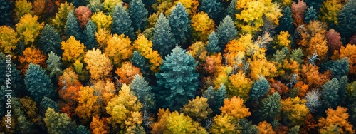 A vibrant aerial view of an autumn forest, with trees displaying hues from deep greens to bright yellows and oranges