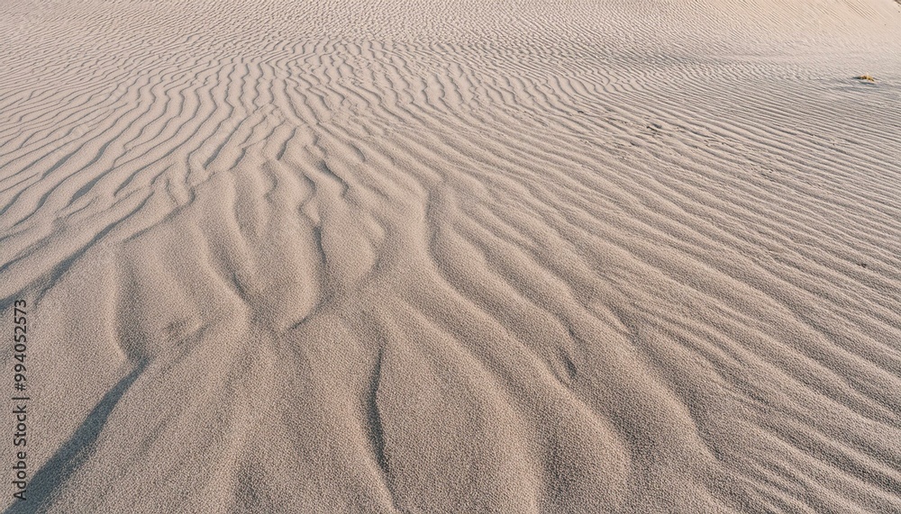 Fototapeta premium 모래의 패턴과 질감