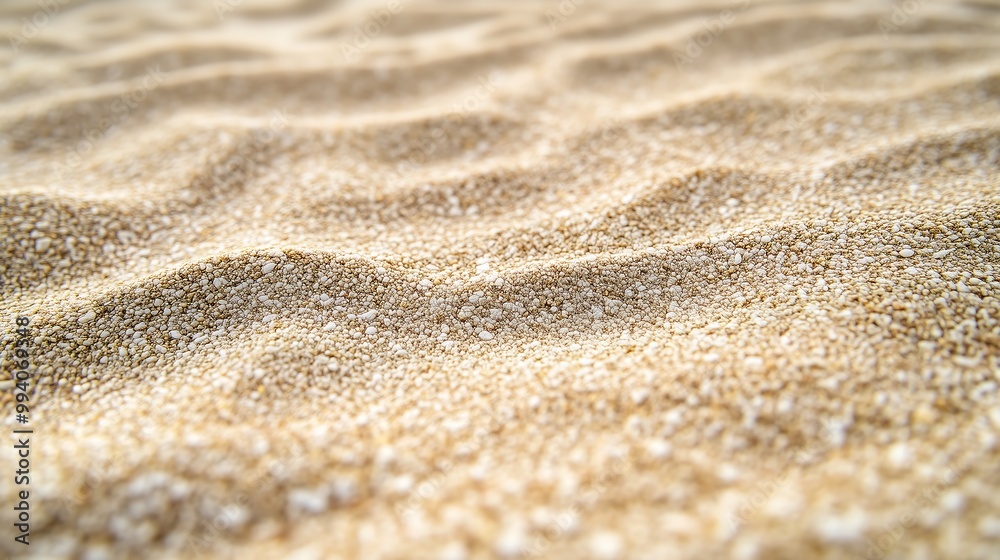 A detailed background featuring a close-up view of fine sand grains. The texture should be soft and natural, with varying shades of beige, tan, and light brown to mimic the look of real sand. A detailed background featuring a close-up view of fine sand grains. The texture should be soft and natural, with varying shades of beige, tan, and light brown to mimic the look of real sand.