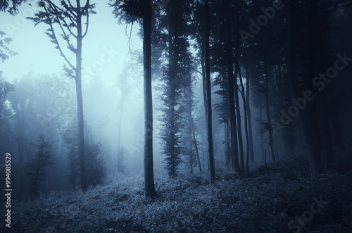 dark horror forest at night, halloween background