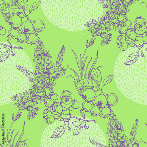 Seamless Pattern with Blueberry and Lavender. Color sketch style hand drawn background. Detailed illustration, hand drawn. Great for fabric and textile, prints, invitation, packaging
