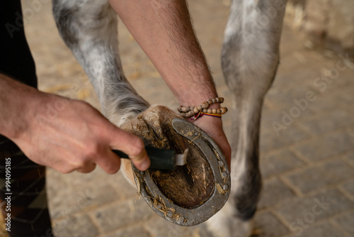 Hands of a man cleaning dirt from a horse's shoe with a clinch cutter. Horsemanship care concept