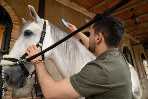 Groom combing the coat of a white horse in a stable tied to a post. Horseriding concept