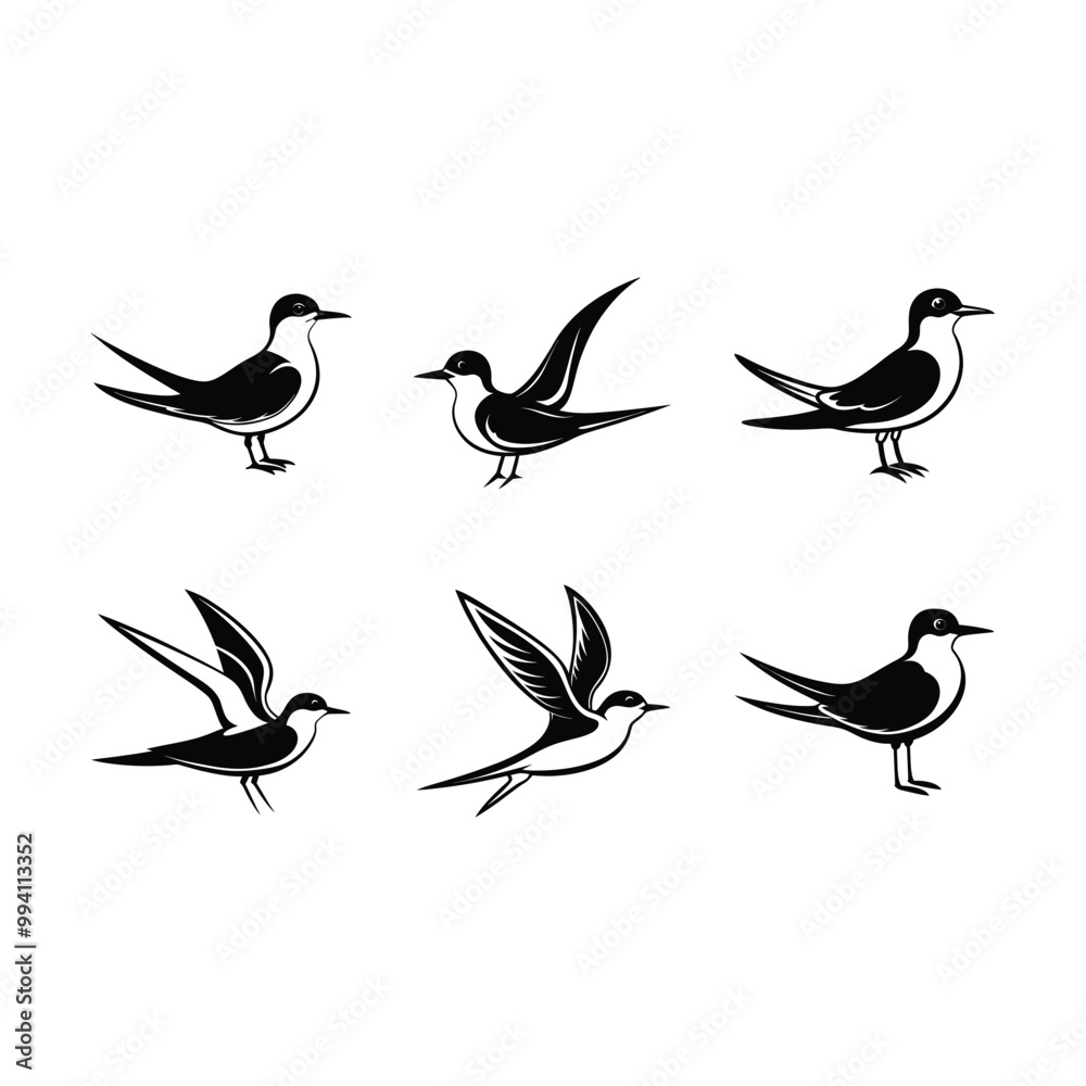 Obraz premium tern on white background, instant Digital Download. Illustration for prints on bags, posters