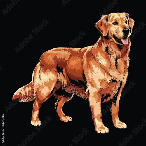 golden retriever dog