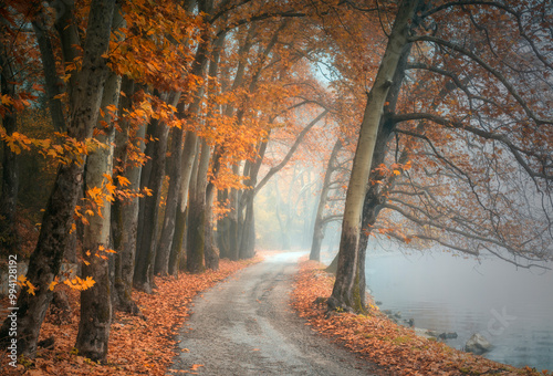 Magic autumn atmosphere in lake orestias in Kastoria Greece  photo