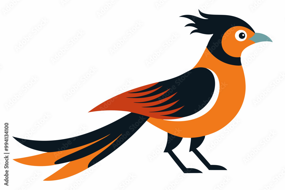 Obraz premium Vector illustration of oriental cuckoo bird on white background