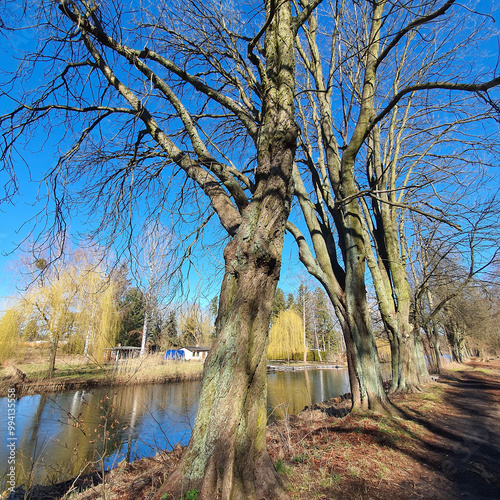 Winterlandschaft am See