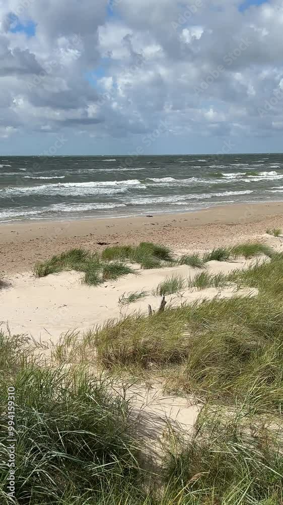 The Baltic Sea on the beach, waves and wind. The Baltic Sea on the beach, waves and wind.