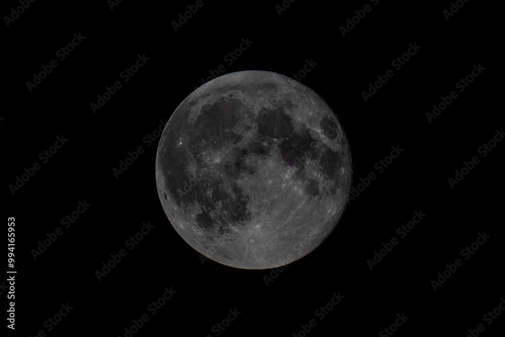 Fototapeta premium full moon in the night