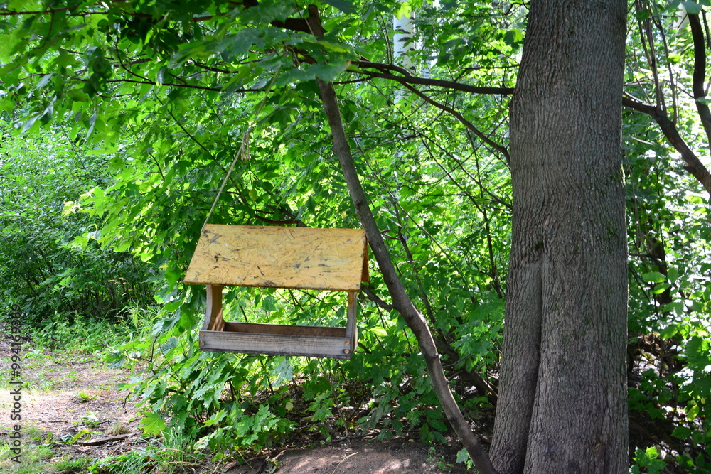 a wooden birdhouse hangs on a tree in a forest a wooden birdhouse hangs on a tree in a forest