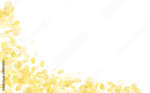 Yellow falling rose or sunflowers petals.Transparent panoramic horizontal background.Amber flower spring template.