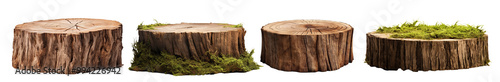 Set of tree stumps, cut out photo