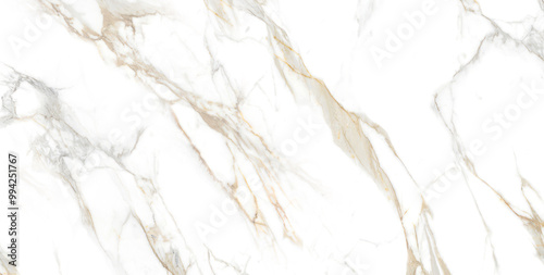 modern white marble texture with gray veins used in ceramic and porcelain tile printing, carrara marble texture, italian marble