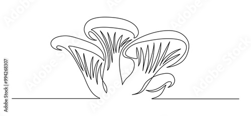 Oyster mushrooms in one continuous line drawing. Organic pleurotus in simple linear style. Forest wood edible mushroom in editable stroke. Doodle vector illustration