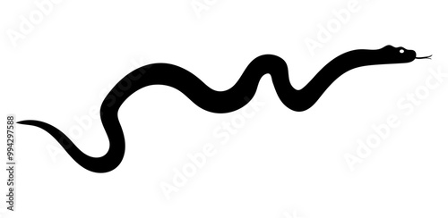 Black silhouette of slithering snake, vector illustration