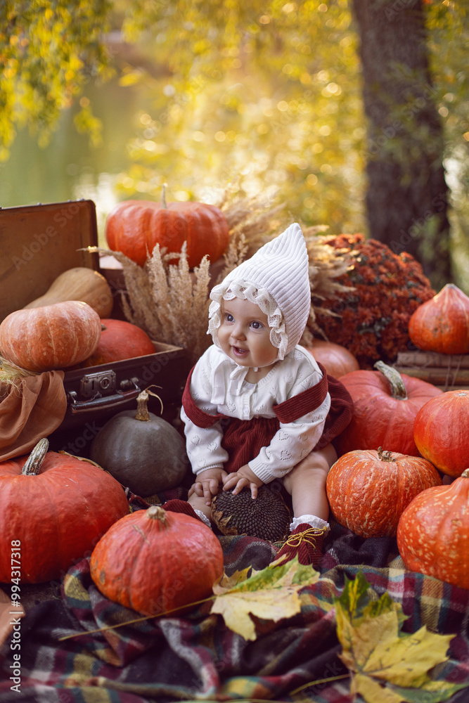 A beautiful baby girl of 8 months in a hat and a suit sits in nature at sunset in the evening with pumpkins around on Halloween