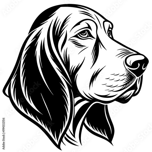 bloodhound head side view minimalist vector illustration 