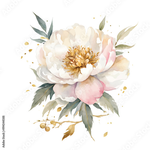 White-pink peony with gold Watercolor vector. Botanical flower on an isolated white background for your design, vector peony, pink peony