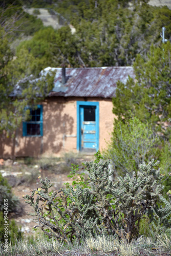 Adobe Home and Cholla Cactus