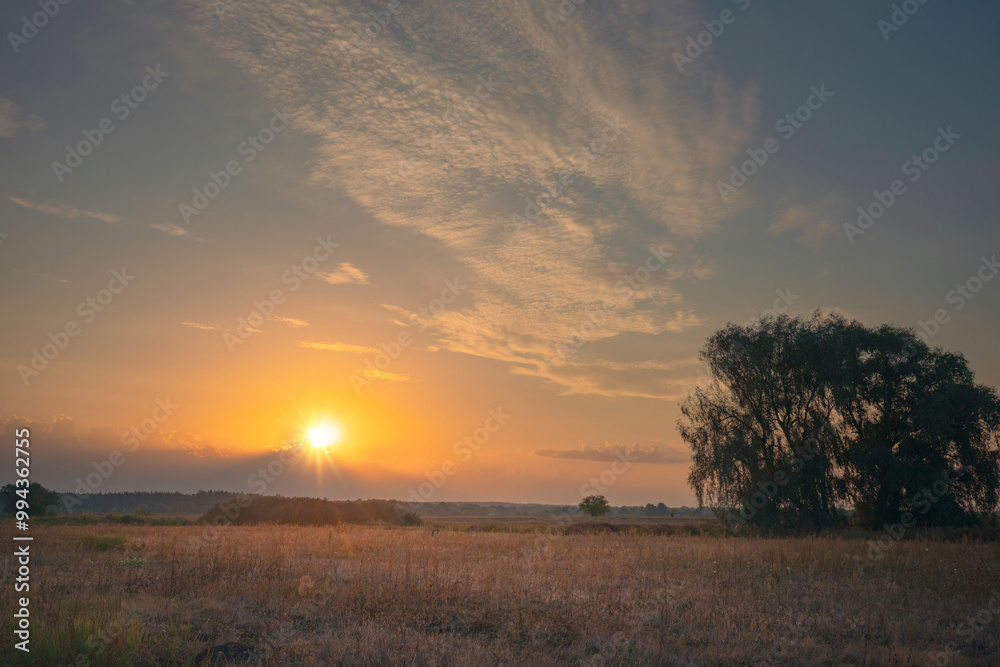 The sun is rising rays over a dry grass field. Gorgeous wide morning scene with trees on a autumn meadow. The sun is rising rays over a dry grass field. Gorgeous wide morning scene with trees on a autumn meadow.