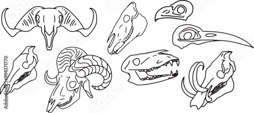 Set Line Halloween Clip art llustration animal skull Ink linear drawing western style coloring. Modern minimalist print design element dead creature contour deceased cattle ram skull outline sheep cow
