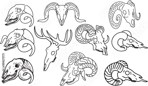 Set Line Halloween Clip art llustration animal skull Ink linear drawing western style coloring. Modern minimalist print design element dead creature contour deceased cattle ram skull outline sheep cow