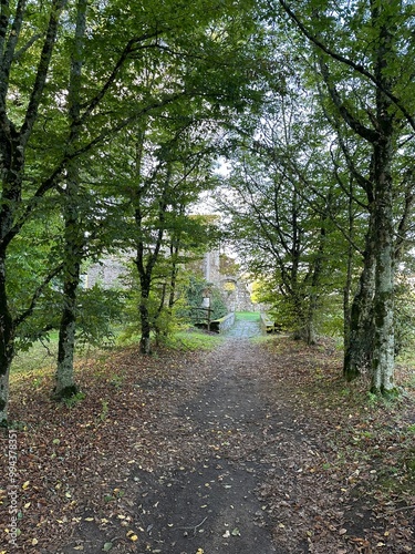 Obraz na płótnie Allée bordée d'arbres w salonie