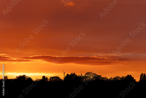 sky is orange and the trees are silhouetted against the sky