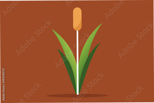  Cattail water plant vector art illustration photo