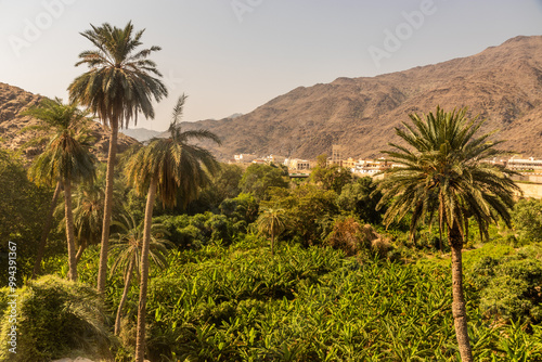 Lush landscape of Thee Ain ( Dhi Ayn) village, Saudi Arabia photo