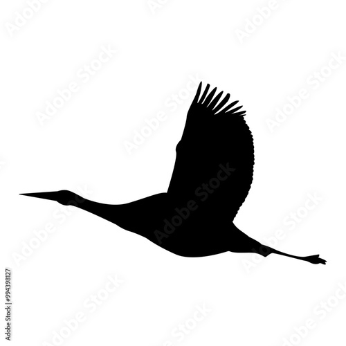 The silhouette of a flying crane, a stork