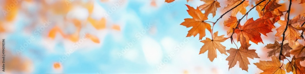 Vibrant autumn leaves against a soft blue backdrop on a sunny day in the park Vibrant autumn leaves against a soft blue backdrop on a sunny day in the park