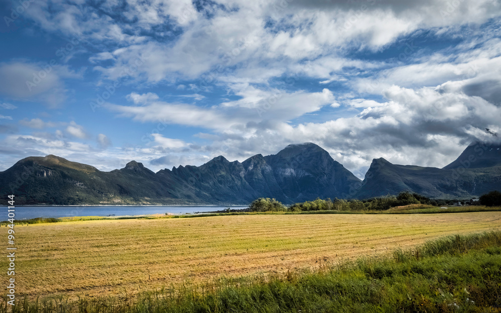 Farmland in Arctic Norway, on a sunny summer day Farmland in Arctic Norway, on a sunny summer day