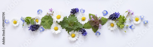 Konstfotografi Frise de fleurs printanières sauvage