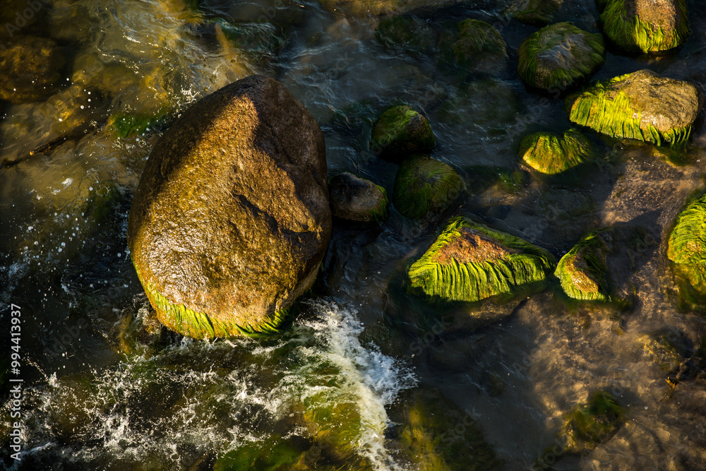 A river which is filled with numerous rocks and lush green moss on them A river which is filled with numerous rocks and lush green moss on them