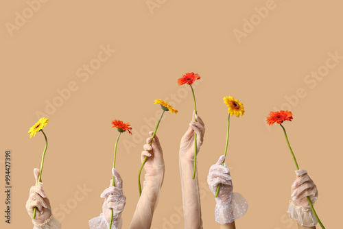 Female hands in laced gloves holding beautiful gerbera flowers on brown background