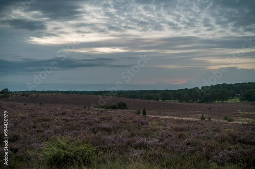 Lüneburger Heide