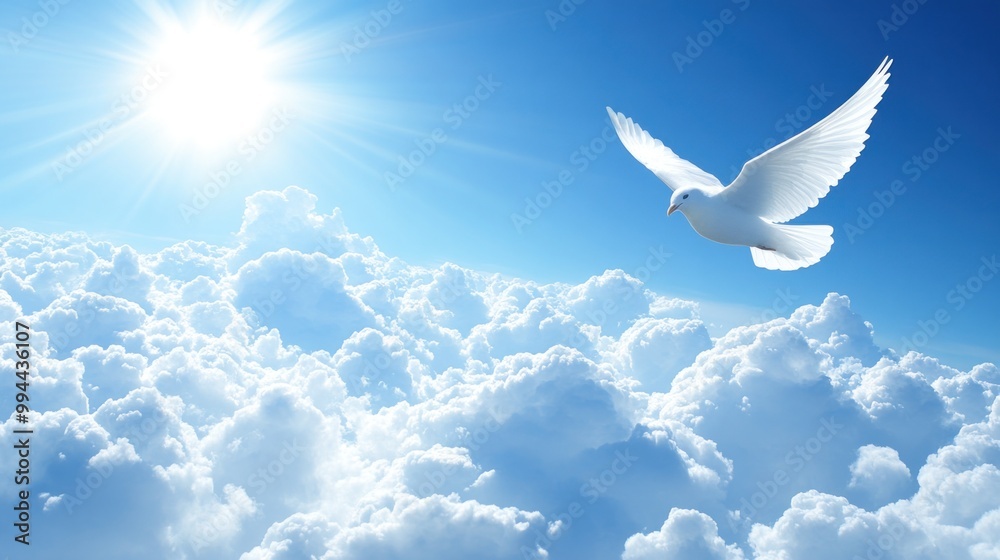 Fototapeta premium A dove glides gracefully above soft clouds, basking in the warmth of the sun on a clear blue day