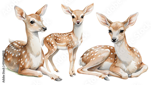 watercolor baby deer clipart for graphic resources, watercolor fawn clipart for graphic resources