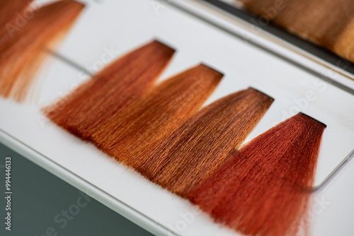 Wallpaper Mural Set of hair samples with different colorful red color shade.  Close-up of hair color palette with a wide range of color swatches. Hair color samples choice chart for dying hair.  Selective focus. Torontodigital.ca