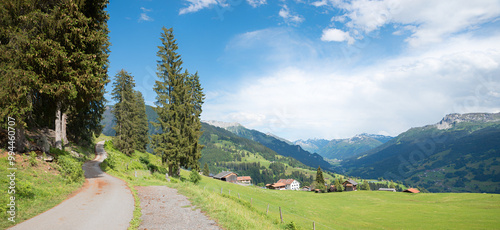 hiking route near Pany village, landscape Prattigau, canton Grisons switzerland photo