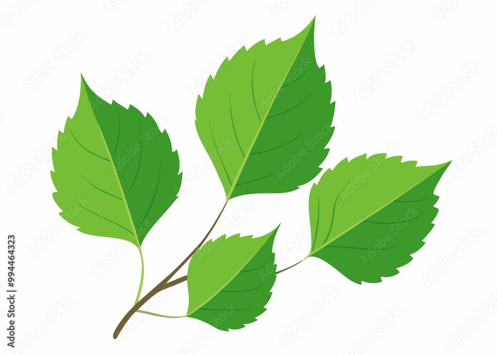 Fototapeta premium A simple yet beautiful illustration of four green leaves on a branch, perfect for adding a touch of nature to your designs. The leaves are detailed and realistic.