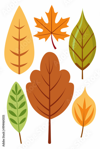 Set of six autumn leaves in various shapes and colors. Perfect for fall-themed designs, scrapbooking, or adding a touch of nature to your projects. These illustrations are simple yet effective.